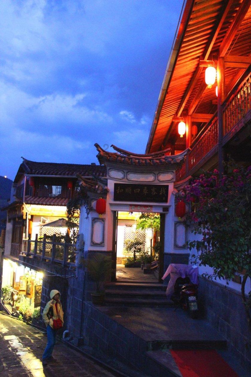 探索知识星球平台,尽享冬天有什么花之旅
